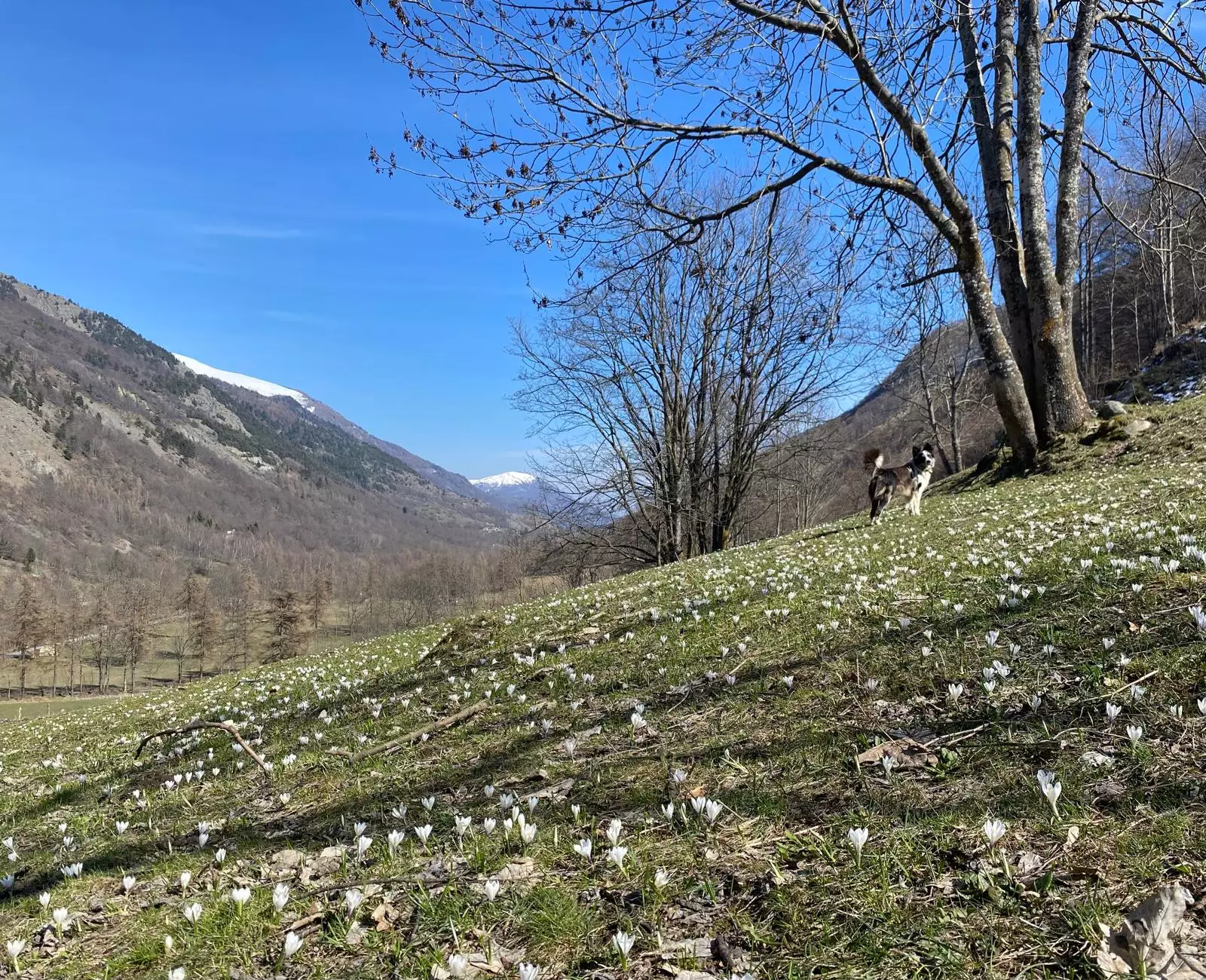 Unione Montana Valle Varaita